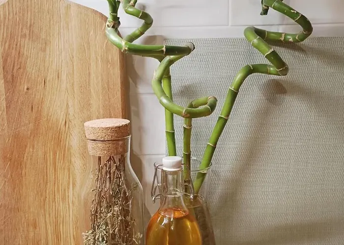 Village Hideaway With Views Ossuccio